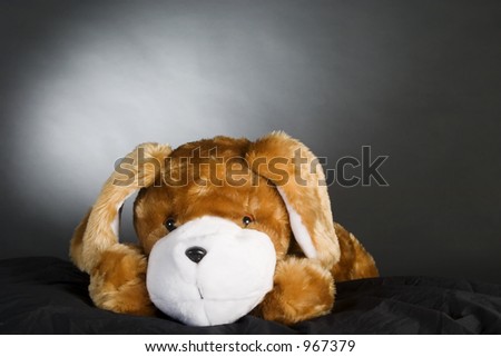 A generic dog stuffed animal posing for the camera.