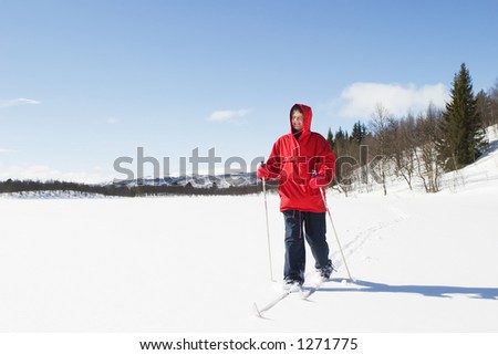 A skier on a wintery snow filled landscape.