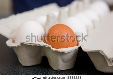 A single brown egg in a carton of white eggs - Shallow depth of field is used to isolate the brown egg.
