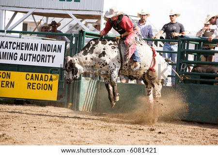 A bull rider at a local rodeo