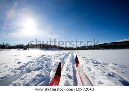 A cross country ski detail