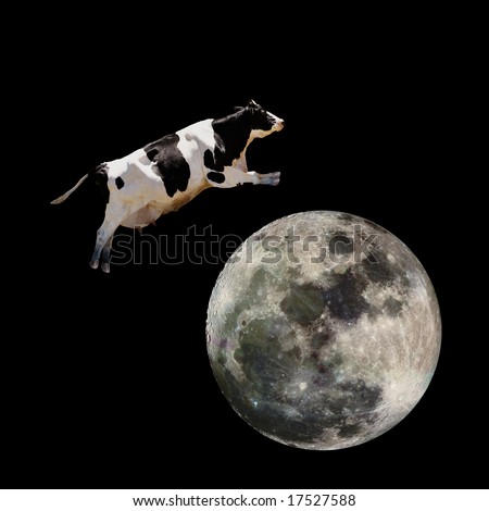 A Cow Jumping