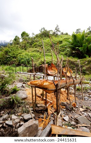 Primitive yet useful tools for making sago, a staple food in Papua New Guinea and Indonesia