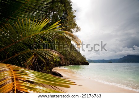 A tropical secluded beach