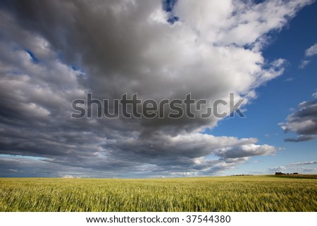 A prairie landscape with a dramatic cloudscape