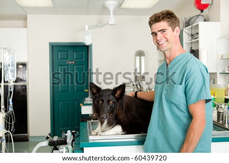 A small animal clinic with a dog on the surgery prep table