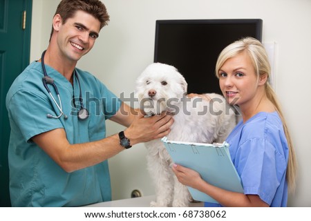 Portrait of vet with assistant examine dog
