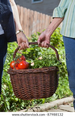 Close-up of senior women holding basket filled with vegetables