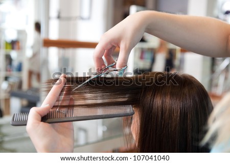 Hairdresser cutting client's hair in beauty salon. Hairdresser cutting client's hair in beauty salon.