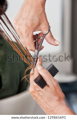Female hairdresser\'s hands cutting wet hair in salon