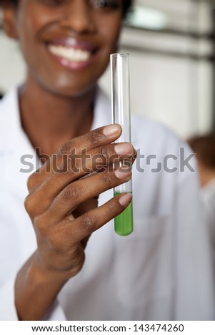 Midsection of young female teacher holding chemical solution in test tube