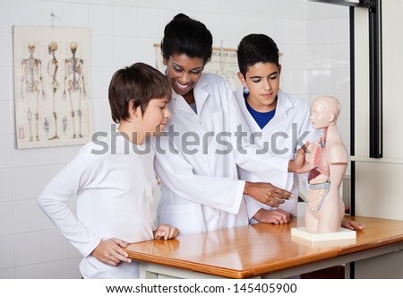 Young African American teacher analyzing anatomical model with male students at desk in lab