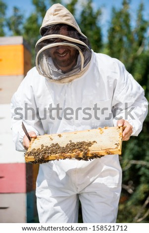 Male beekeeper in protective clothing inspecting honeycomb frame at apiary
