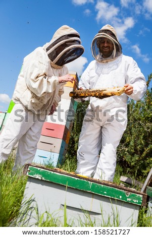 Male and female beekeepers in protective clothing inspecting honeycomb frame at apiary