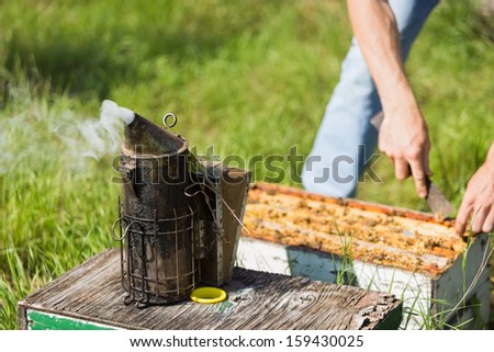 Bee smoker with apiarist working in his apiary on farm