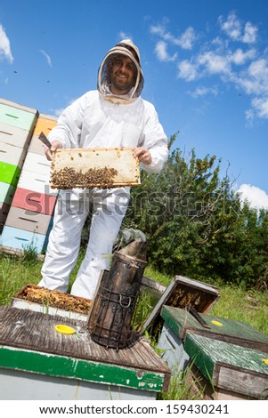 Portrait of beekeeper in protective clothing holding honeycomb frame at apiary