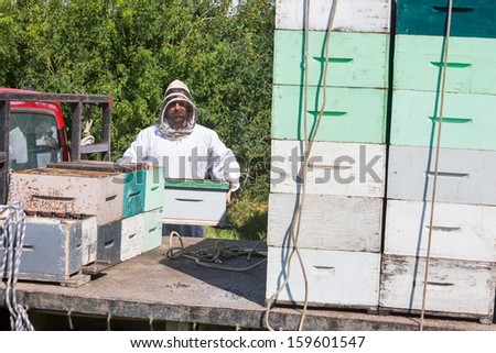 Male beekeeper loading honeycomb crate in truck at apiary