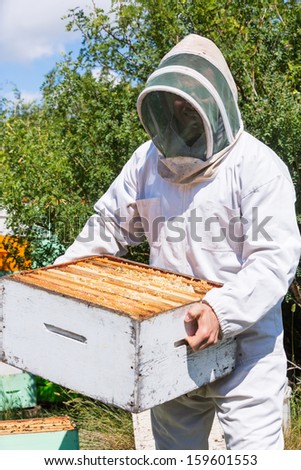 Young male beekeeper in protective workwear carrying honeycomb box at apiary