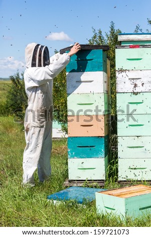 Side view of beekeeper placing a fume board on hive