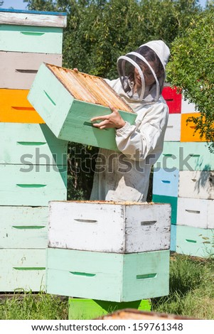 Female beekeeper carrying honeycomb crate while working at apiary