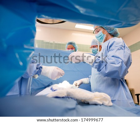 Team of doctors operating patient in operation room