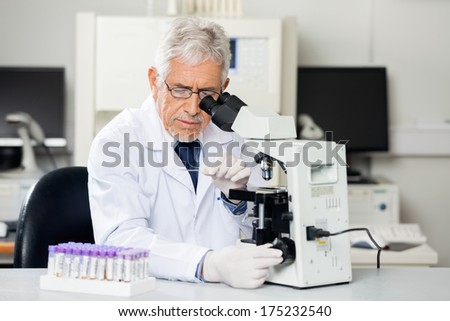 Senior male researcher examining microscope slide in medical lab