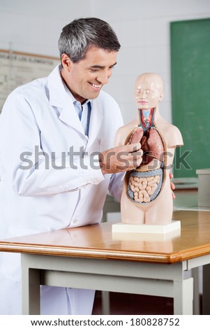 Happy mature male professor examining anatomical model at desk in classroom