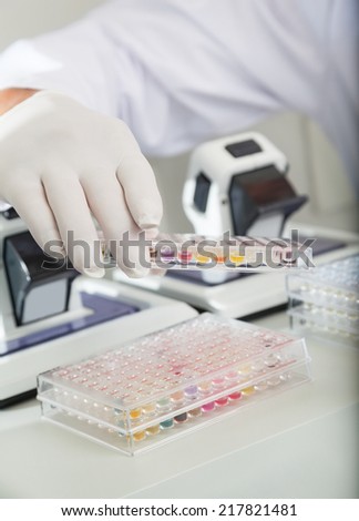 stock-photo-cropped-image-of-mature-male-scientist-holding-microplate-filled-with-color-samples-217821481.jpg