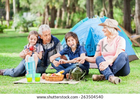 Happy multi generation family camping in park