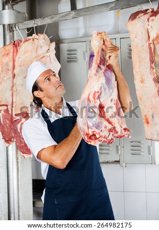 Male butcher looking at stamp on raw meat in shop