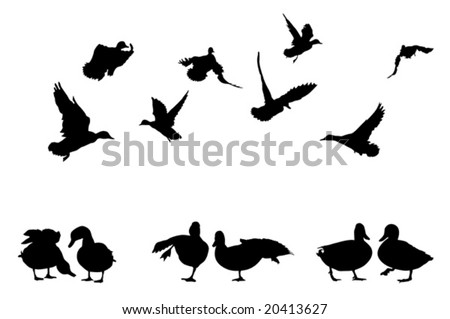 cartoon duck silhouette