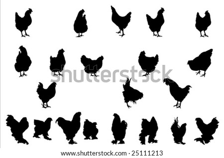 Chicken Silhouette