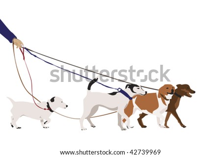 Professional Dog Walking Stock Vector Illustration 42739969 : Shutterstock