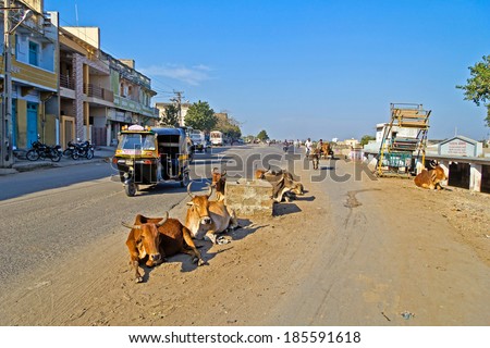 JANUARY 30, 2014, PORBANDAR, GUJARAT - traffic and cows on street of indian town Porbandar, Gujarat