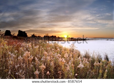 Dawn breaking on the edge of Lake Huron with wildflowers.