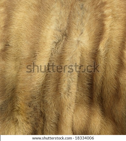 Mink Texture