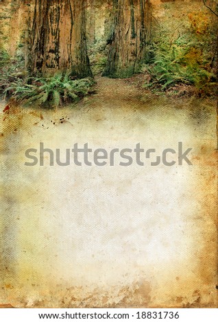 Redwood forest above a grunge background with copy-space for your own text.