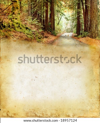 Road through a redwood forest on a grunge background. Plenty of copy-space for your text.