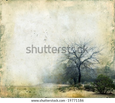 Trees in a foggy landscape on a grunge background. Copy-space for your own text.