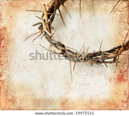 crown of thorns clipart. stock photo : Crown of thorns