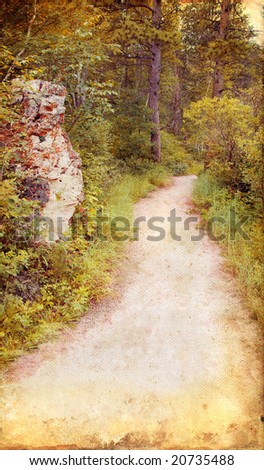Wooded path through the woods on a grunge background.