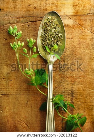 Oregano sprig with dried in a silver spoon on a rustic wood table.
