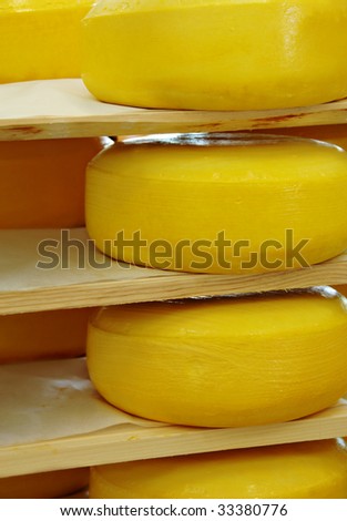 Wheels of cheese stacked on wooden shelves at a factory.