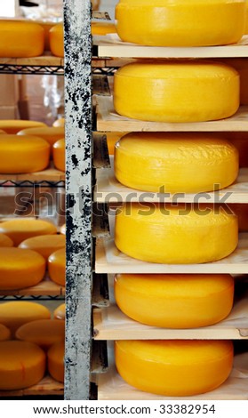 Wheels of cheese stacked on shelves at a factory.