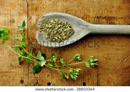 Oregano sprig with dried in a wooden spoon on a rustic wood table.