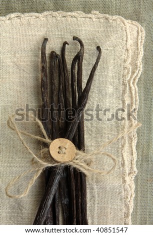 Vanilla beans tied with twine on neutral colored cloth.