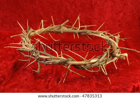 Crown of Thorns on a rich red background.