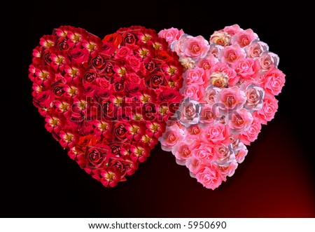 images of roses and hearts. stock photo : The love, hearts