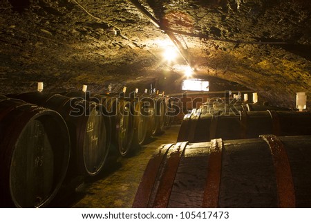 Wine cellar at the Rein river, Germany
