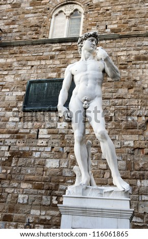 The David sculpture in Florence